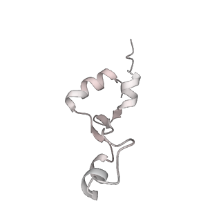 23669_7m4x_2_v1-4
A. baumannii Ribosome-Eravacycline complex: P-site tRNA 70S