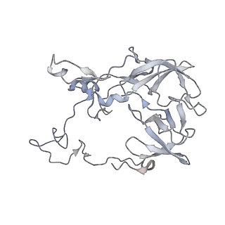 23669_7m4x_C_v1-3
A. baumannii Ribosome-Eravacycline complex: P-site tRNA 70S