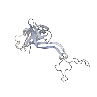 23669_7m4x_D_v1-3
A. baumannii Ribosome-Eravacycline complex: P-site tRNA 70S