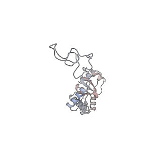 23669_7m4x_E_v1-3
A. baumannii Ribosome-Eravacycline complex: P-site tRNA 70S