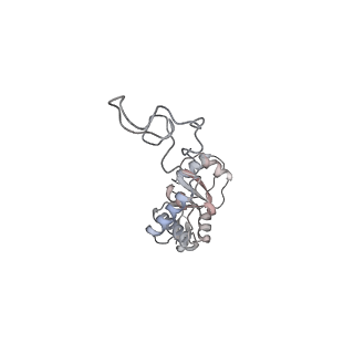 23669_7m4x_E_v1-4
A. baumannii Ribosome-Eravacycline complex: P-site tRNA 70S