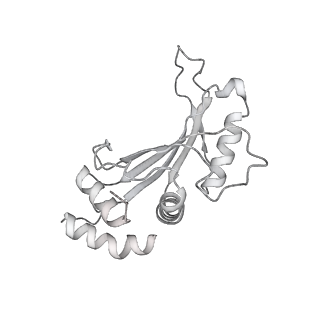 23669_7m4x_F_v1-3
A. baumannii Ribosome-Eravacycline complex: P-site tRNA 70S