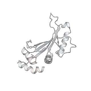 23669_7m4x_F_v1-4
A. baumannii Ribosome-Eravacycline complex: P-site tRNA 70S