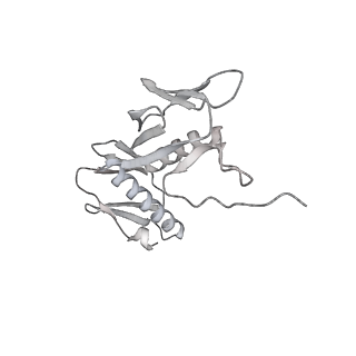 23669_7m4x_G_v1-3
A. baumannii Ribosome-Eravacycline complex: P-site tRNA 70S