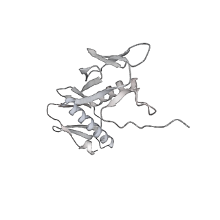 23669_7m4x_G_v1-4
A. baumannii Ribosome-Eravacycline complex: P-site tRNA 70S