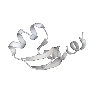 23669_7m4x_H_v1-3
A. baumannii Ribosome-Eravacycline complex: P-site tRNA 70S