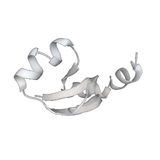 23669_7m4x_H_v1-4
A. baumannii Ribosome-Eravacycline complex: P-site tRNA 70S