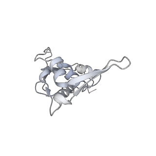 23669_7m4x_I_v1-3
A. baumannii Ribosome-Eravacycline complex: P-site tRNA 70S