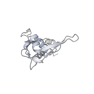 23669_7m4x_I_v1-4
A. baumannii Ribosome-Eravacycline complex: P-site tRNA 70S