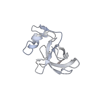 23669_7m4x_J_v1-3
A. baumannii Ribosome-Eravacycline complex: P-site tRNA 70S