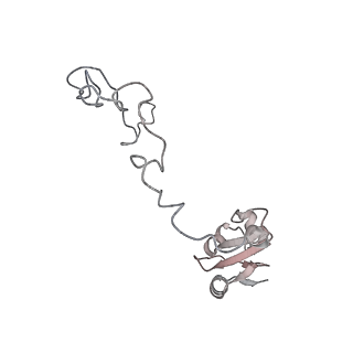 23669_7m4x_K_v1-3
A. baumannii Ribosome-Eravacycline complex: P-site tRNA 70S