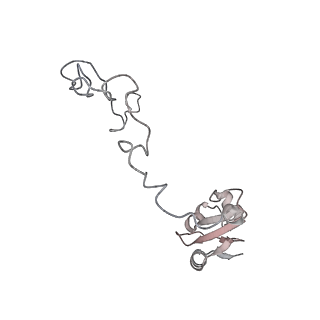 23669_7m4x_K_v1-4
A. baumannii Ribosome-Eravacycline complex: P-site tRNA 70S