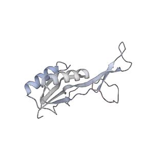 23669_7m4x_L_v1-3
A. baumannii Ribosome-Eravacycline complex: P-site tRNA 70S