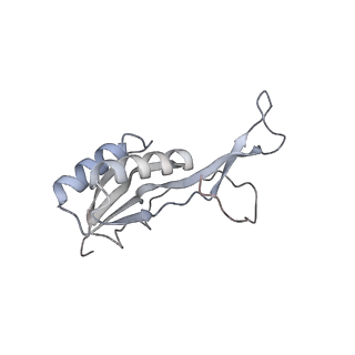 23669_7m4x_L_v1-4
A. baumannii Ribosome-Eravacycline complex: P-site tRNA 70S