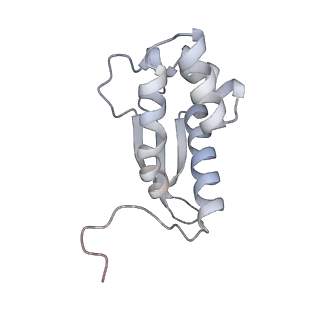 23669_7m4x_M_v1-3
A. baumannii Ribosome-Eravacycline complex: P-site tRNA 70S