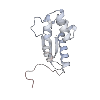 23669_7m4x_M_v1-4
A. baumannii Ribosome-Eravacycline complex: P-site tRNA 70S