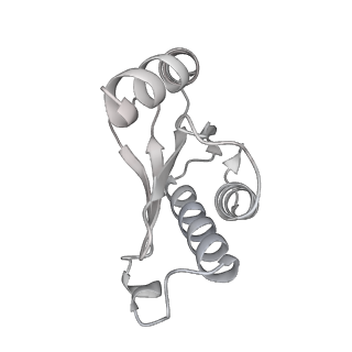 23669_7m4x_N_v1-3
A. baumannii Ribosome-Eravacycline complex: P-site tRNA 70S