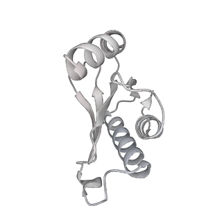 23669_7m4x_N_v1-4
A. baumannii Ribosome-Eravacycline complex: P-site tRNA 70S