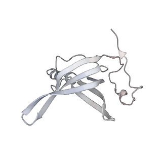 23669_7m4x_O_v1-3
A. baumannii Ribosome-Eravacycline complex: P-site tRNA 70S