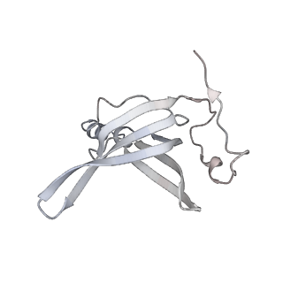 23669_7m4x_O_v1-4
A. baumannii Ribosome-Eravacycline complex: P-site tRNA 70S