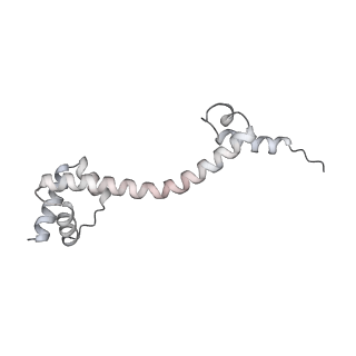 23669_7m4x_P_v1-3
A. baumannii Ribosome-Eravacycline complex: P-site tRNA 70S