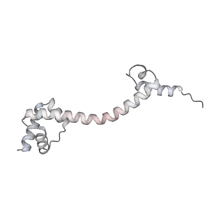 23669_7m4x_P_v1-4
A. baumannii Ribosome-Eravacycline complex: P-site tRNA 70S