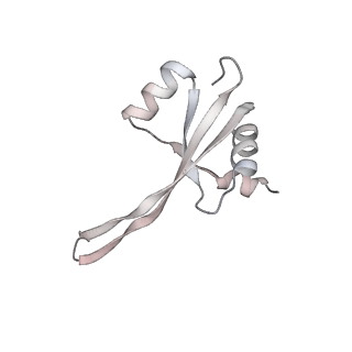 23669_7m4x_S_v1-3
A. baumannii Ribosome-Eravacycline complex: P-site tRNA 70S