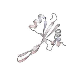 23669_7m4x_S_v1-4
A. baumannii Ribosome-Eravacycline complex: P-site tRNA 70S