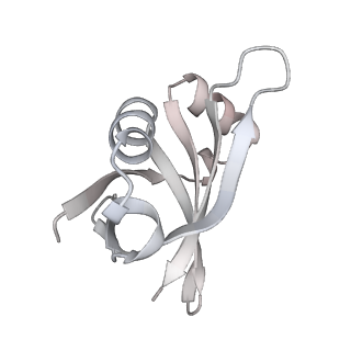 23669_7m4x_U_v1-3
A. baumannii Ribosome-Eravacycline complex: P-site tRNA 70S