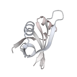 23669_7m4x_U_v1-4
A. baumannii Ribosome-Eravacycline complex: P-site tRNA 70S