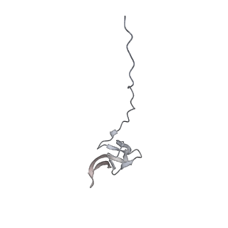 23669_7m4x_V_v1-4
A. baumannii Ribosome-Eravacycline complex: P-site tRNA 70S