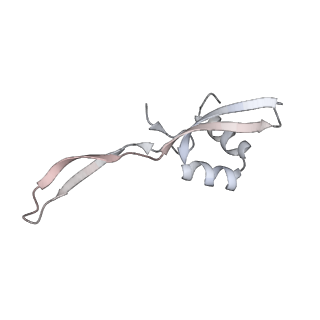 23669_7m4x_W_v1-3
A. baumannii Ribosome-Eravacycline complex: P-site tRNA 70S