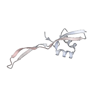 23669_7m4x_W_v1-4
A. baumannii Ribosome-Eravacycline complex: P-site tRNA 70S