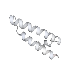 23669_7m4x_X_v1-4
A. baumannii Ribosome-Eravacycline complex: P-site tRNA 70S