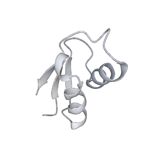 23669_7m4x_Y_v1-3
A. baumannii Ribosome-Eravacycline complex: P-site tRNA 70S
