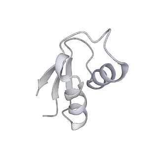 23669_7m4x_Y_v1-4
A. baumannii Ribosome-Eravacycline complex: P-site tRNA 70S