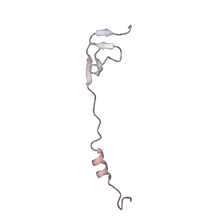 23669_7m4x_Z_v1-3
A. baumannii Ribosome-Eravacycline complex: P-site tRNA 70S