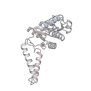 23669_7m4x_b_v1-3
A. baumannii Ribosome-Eravacycline complex: P-site tRNA 70S