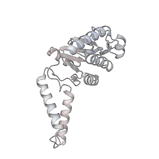 23669_7m4x_b_v1-4
A. baumannii Ribosome-Eravacycline complex: P-site tRNA 70S