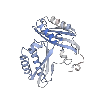 23669_7m4x_c_v1-3
A. baumannii Ribosome-Eravacycline complex: P-site tRNA 70S
