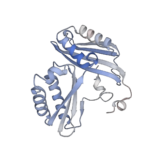 23669_7m4x_c_v1-4
A. baumannii Ribosome-Eravacycline complex: P-site tRNA 70S