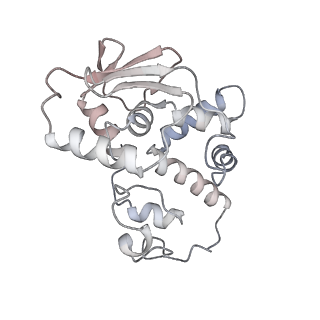 23669_7m4x_d_v1-3
A. baumannii Ribosome-Eravacycline complex: P-site tRNA 70S