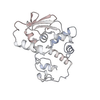 23669_7m4x_d_v1-4
A. baumannii Ribosome-Eravacycline complex: P-site tRNA 70S