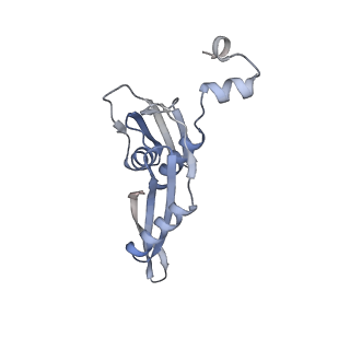 23669_7m4x_e_v1-3
A. baumannii Ribosome-Eravacycline complex: P-site tRNA 70S