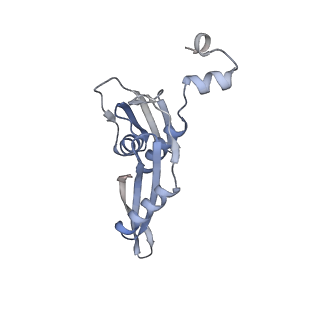 23669_7m4x_e_v1-4
A. baumannii Ribosome-Eravacycline complex: P-site tRNA 70S