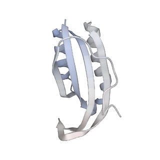 23669_7m4x_f_v1-3
A. baumannii Ribosome-Eravacycline complex: P-site tRNA 70S