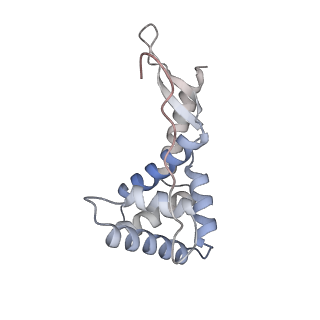 23669_7m4x_g_v1-3
A. baumannii Ribosome-Eravacycline complex: P-site tRNA 70S