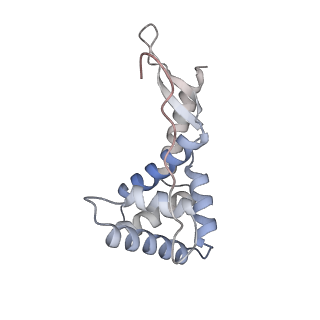 23669_7m4x_g_v1-4
A. baumannii Ribosome-Eravacycline complex: P-site tRNA 70S