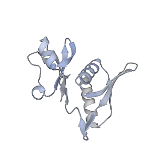 23669_7m4x_h_v1-3
A. baumannii Ribosome-Eravacycline complex: P-site tRNA 70S