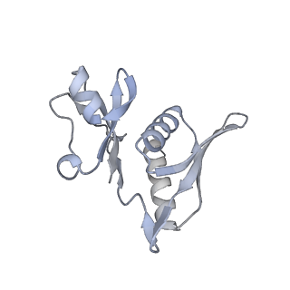 23669_7m4x_h_v1-4
A. baumannii Ribosome-Eravacycline complex: P-site tRNA 70S